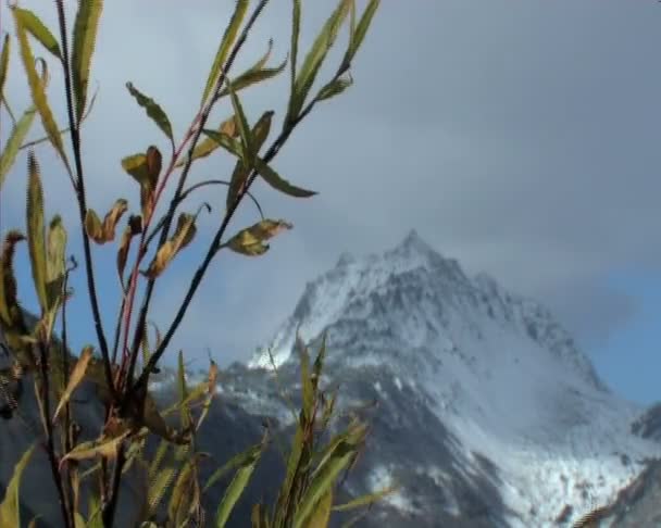 Montagnes, volcan, nuages — Video