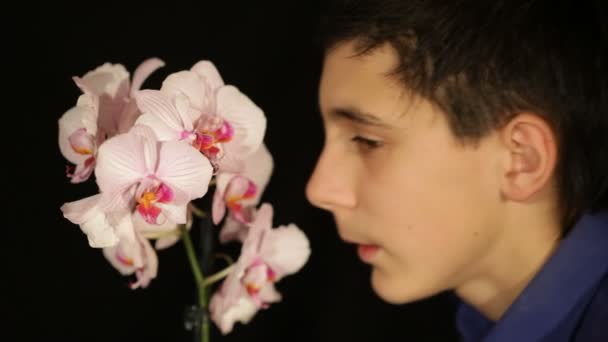 Jongen ruikt bloemen orchidee — Stockvideo