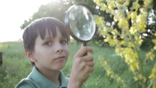 Pojken med ett förstoringsglas — Stockvideo