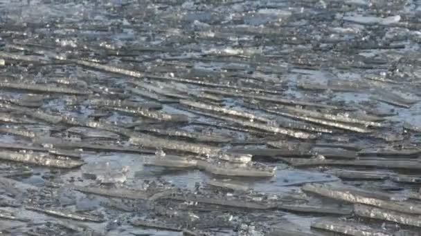Deriva di ghiaccio sul fiume — Video Stock