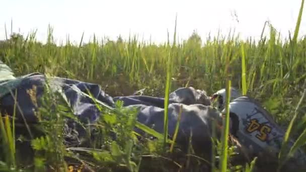 Junge benutzt Laptop im Park auf Gras — Stockvideo