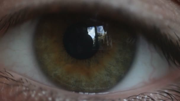 Глаз человека — стоковое видео