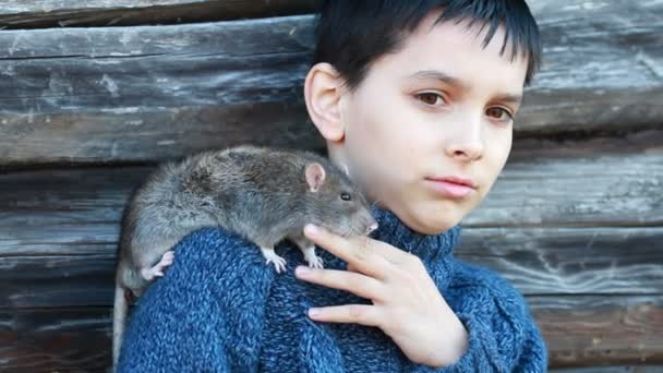 Porträtt av den lilla pojken med en inhemsk råtta — Stockvideo