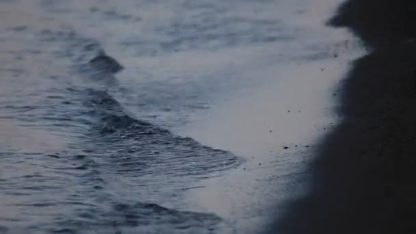 Vagues de mer — Video