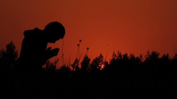 Boy does yoga exercises in a field at sunrise — Stock Video