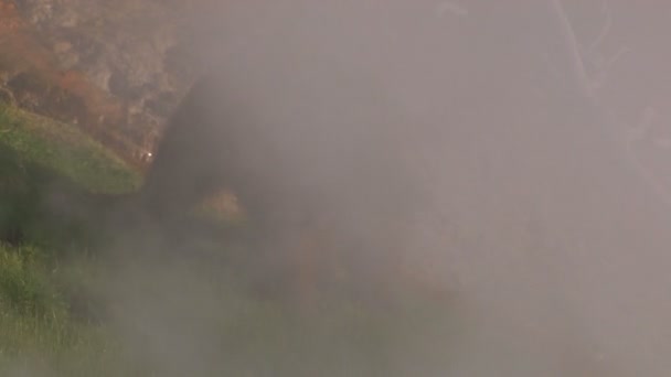 Broun bear in the geyser valley — Stock Video