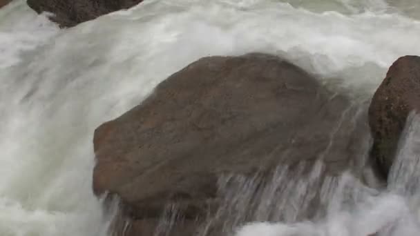 Mountain stream — Stock Video