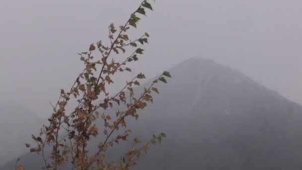 Mlha, hory, mraky — Stock video