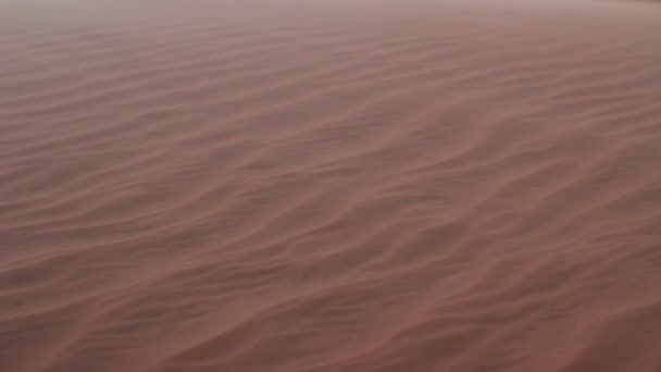 Песчаная буря в пустыне — стоковое видео