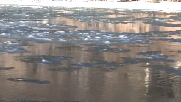 Deriva de hielo en el río — Vídeos de Stock