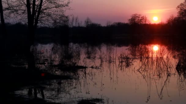 Matahari terbit, sungai — Stok Video