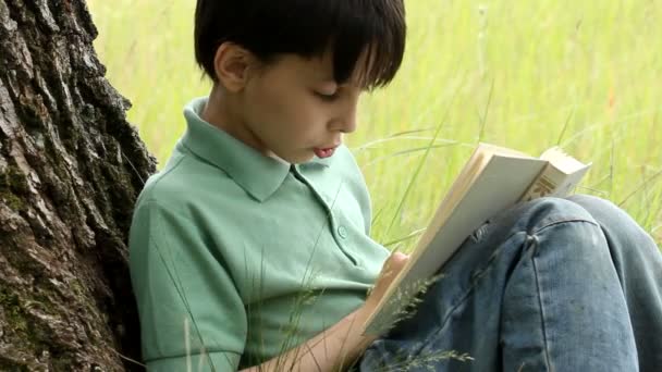 Jongen leest boek buiten — Stockvideo