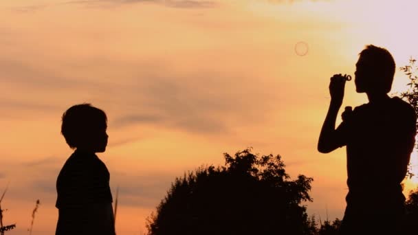 Boys blowing bubbles in a field — Stock Video