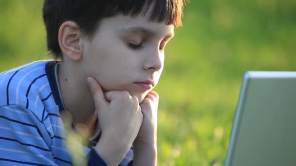 Niño usando su portátil al aire libre en el parque en la hierba — Vídeos de Stock