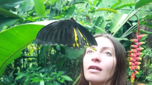 Красива дівчина з метеликами — стокове відео