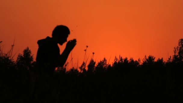 Jongen doet yoga oefeningen in een veld bij zonsopgang — Stockvideo