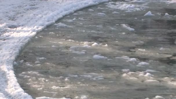 Eisdrift auf dem Fluss — Stockvideo