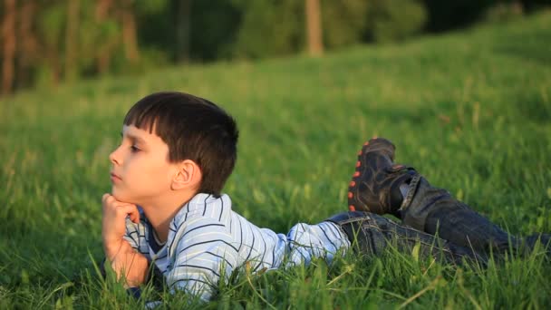 De jongen ligt in het gras. zomer. — Stockvideo