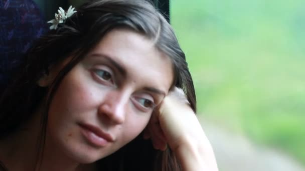 Молодая женщина путешествует на поезде — стоковое видео