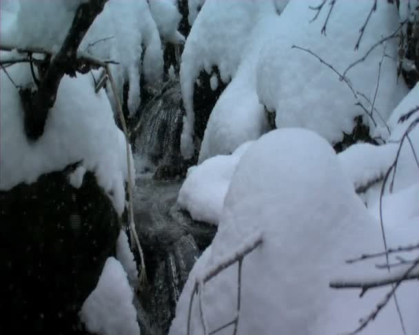 Fluxo de montanha durante o inverno — Vídeo de Stock