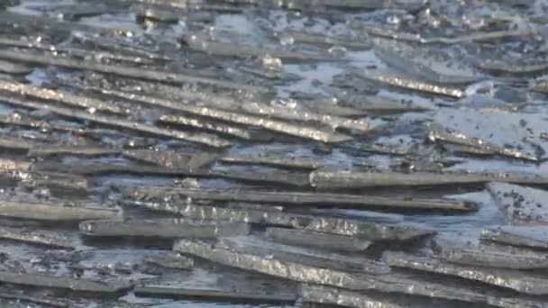 Дрейф льда на реке — стоковое видео