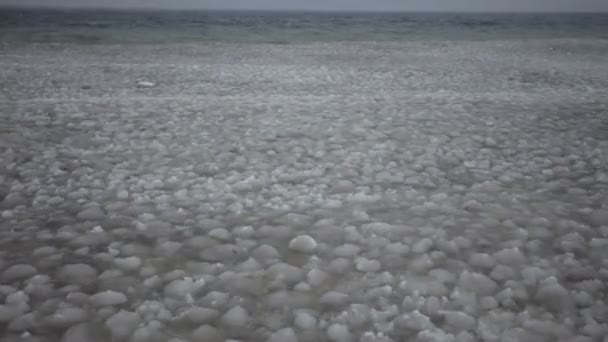 川の上の流氷は — ストック動画