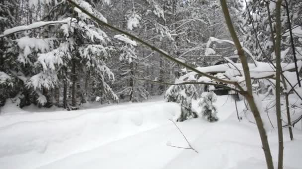 Jeep dirigindo na floresta de neve — Vídeo de Stock