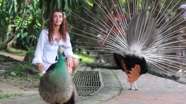 Wildpark mit Mädchen und Pfau. — Stockvideo