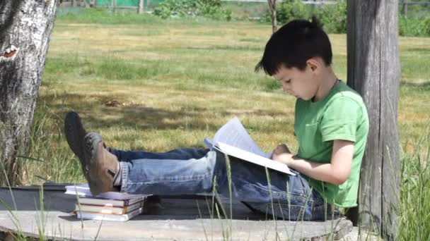 De jongen leest het boek. zomer — Stockvideo