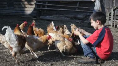çocuk ve tavuk