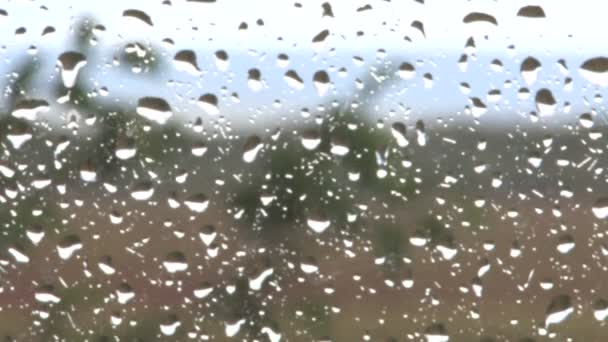 Lluvia cae en mi ventana — Vídeo de stock