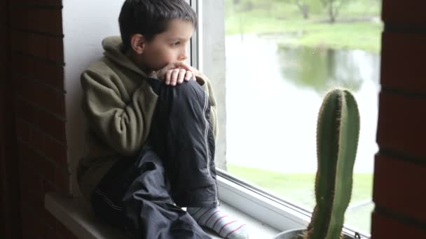 Junge schaut aus dem Fenster und träumt — Stockvideo