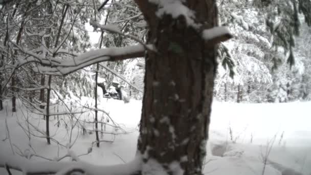 Jeep fährt im Schneewald — Stockvideo