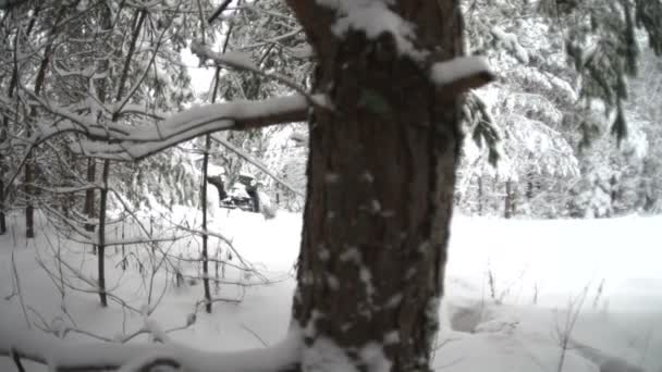 Jeep driving in snow forest — Stock Video