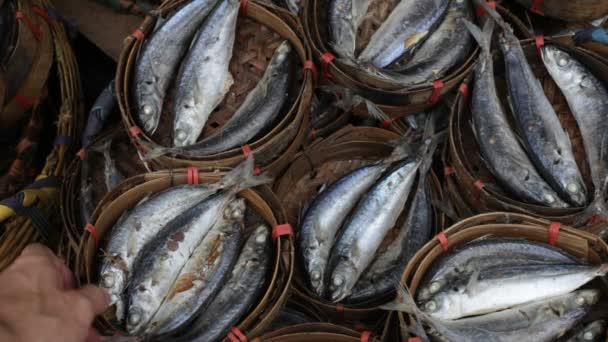 Mercado de frutos do mar, Tailândia — Vídeo de Stock