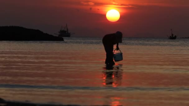 O pescador, por do sol, mar, sol — Vídeo de Stock