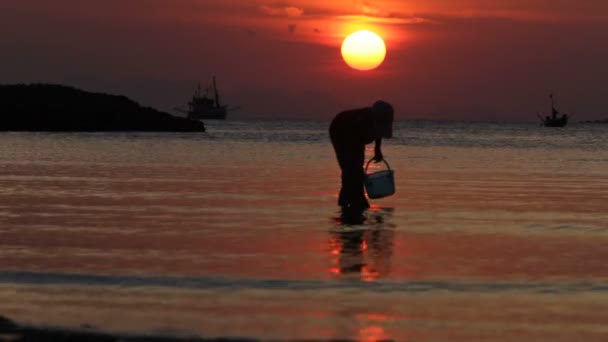 El pescador, puesta de sol, mar, sol — Vídeos de Stock