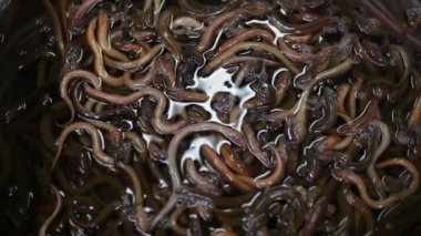 Seafood market, Tayland