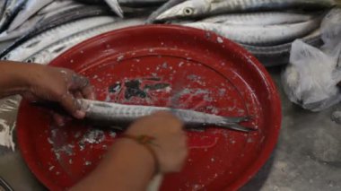 Seafood market, Tayland