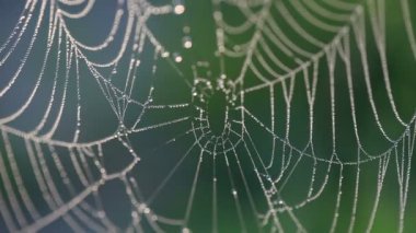 Web. çiğ. yakın bir yukarı
