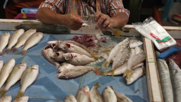 Seafood market, Tayland — Stok video