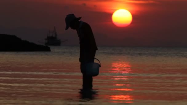 O pescador, por do sol, mar, sol — Vídeo de Stock