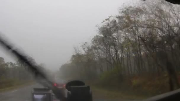 Conducir durante la tormenta — Vídeo de stock