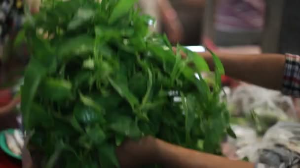 Zelenina na trh Thajsko — Stock video