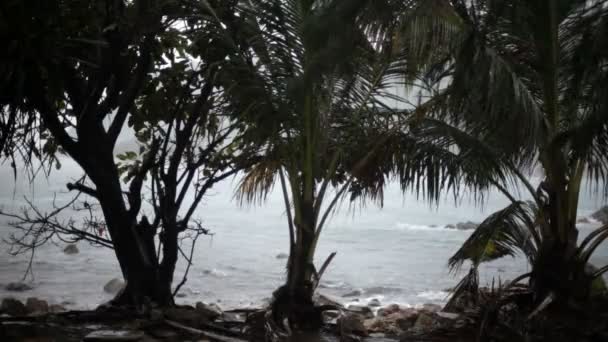 Cyclone, wind, sea, tropics — Stock Video