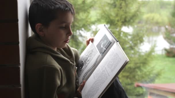 Chłopiec czyta książkę — Wideo stockowe