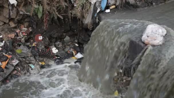 廃棄物と川 — ストック動画