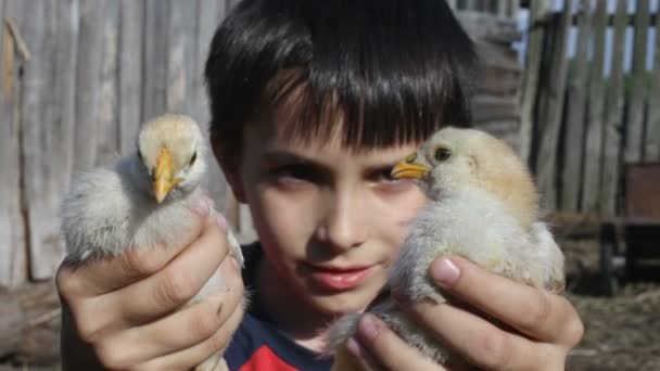 Junge und Hühner — Stockvideo
