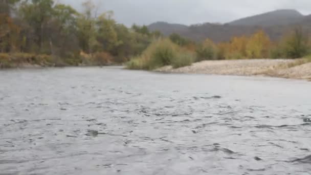 Sonbahar, dağ Nehri — Stok video