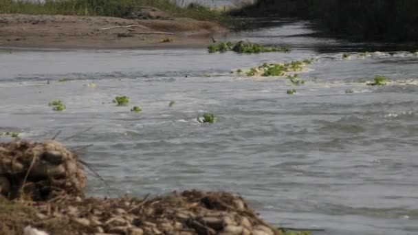 Rio das montanhas — Vídeo de Stock